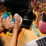 How to Transition to a Career in Neurotech Development