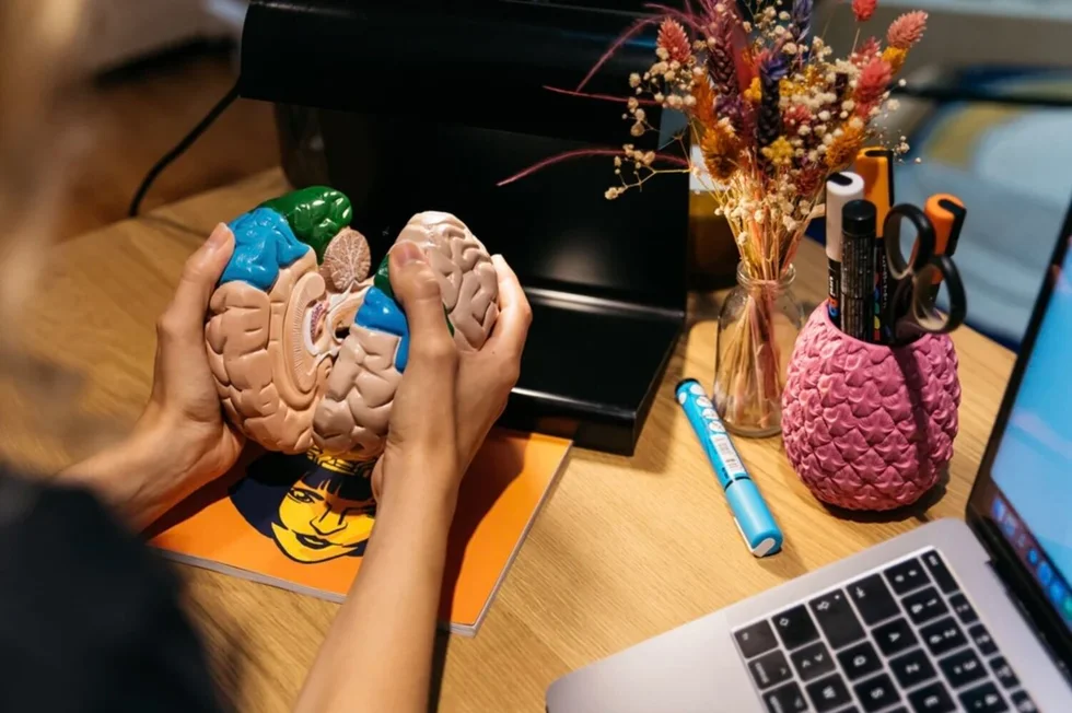 How to Transition to a Career in Neurotech Development